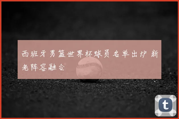 西班牙男篮世界杯球员名单出炉 新老阵容融合
